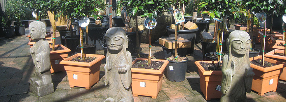 Landscaping Features Ubobo